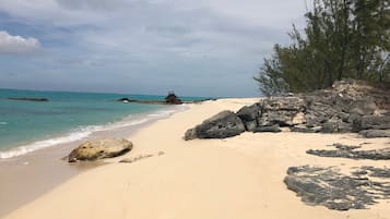 Playa en los alrededores, camastros y toallas de playa