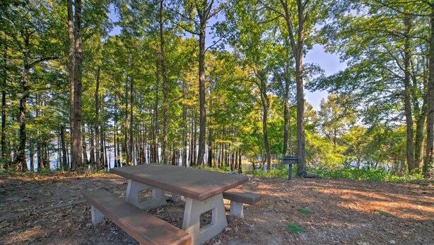 A picnic table in a wooded area with a lake in the background.