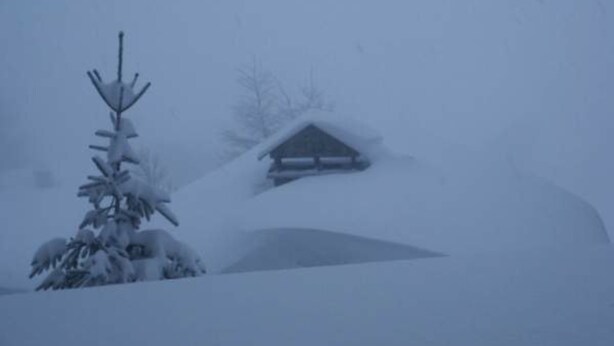 Sneeuw- en skisporten