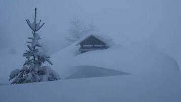 Thể thao tuyết và trượt tuyết