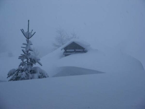 Skidåkning och snöaktiviteter