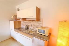 Fridge, microwave, stovetop, cookware/dishes/utensils