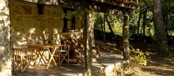 Forest House casinha do Carvalhal