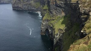 A coastal cliff with a narrow path leading down to the water. - Groff Cottage (Tourmakeady)