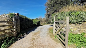 A gravel path leading to a stone wall with a wooden gate.