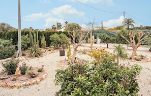 Um jardim com diversas plantas e árvores, um caminho de cascalho e um edifício ao fundo.
