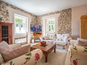 Télévision, cheminée, lecteur de DVD