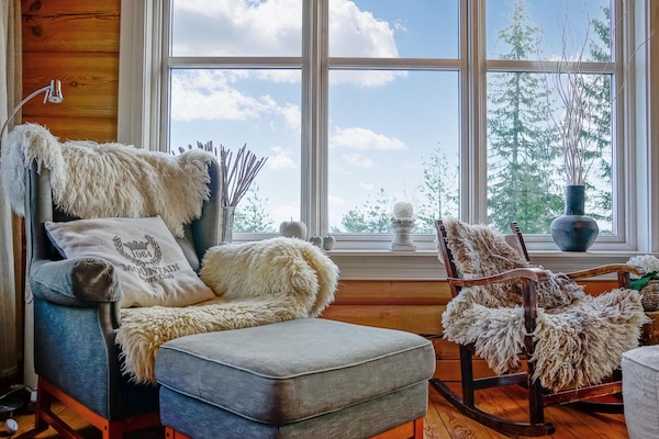 Televisión y chimenea