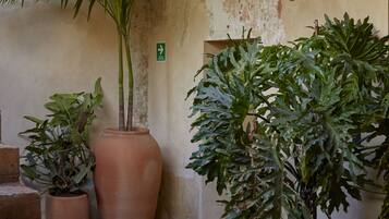 Detalle interior
