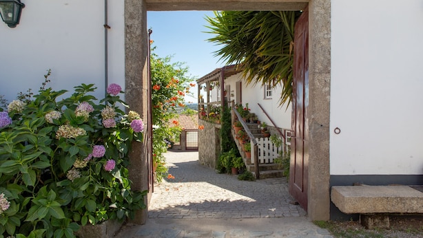A cobblestone path leading to a building with a stone archway, a wooden fence, and potted plants.