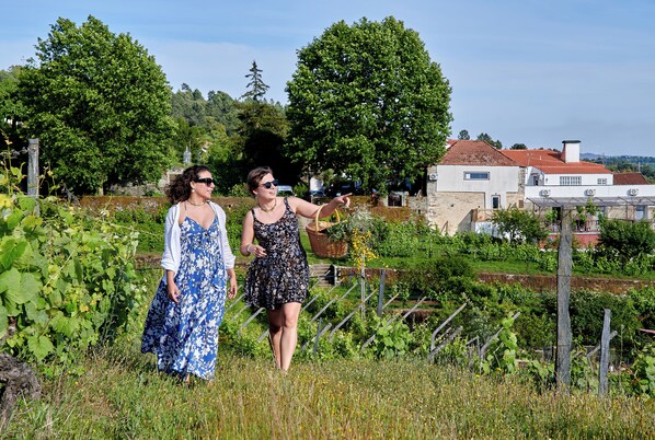 Two people walking in a garden with a house in the background.