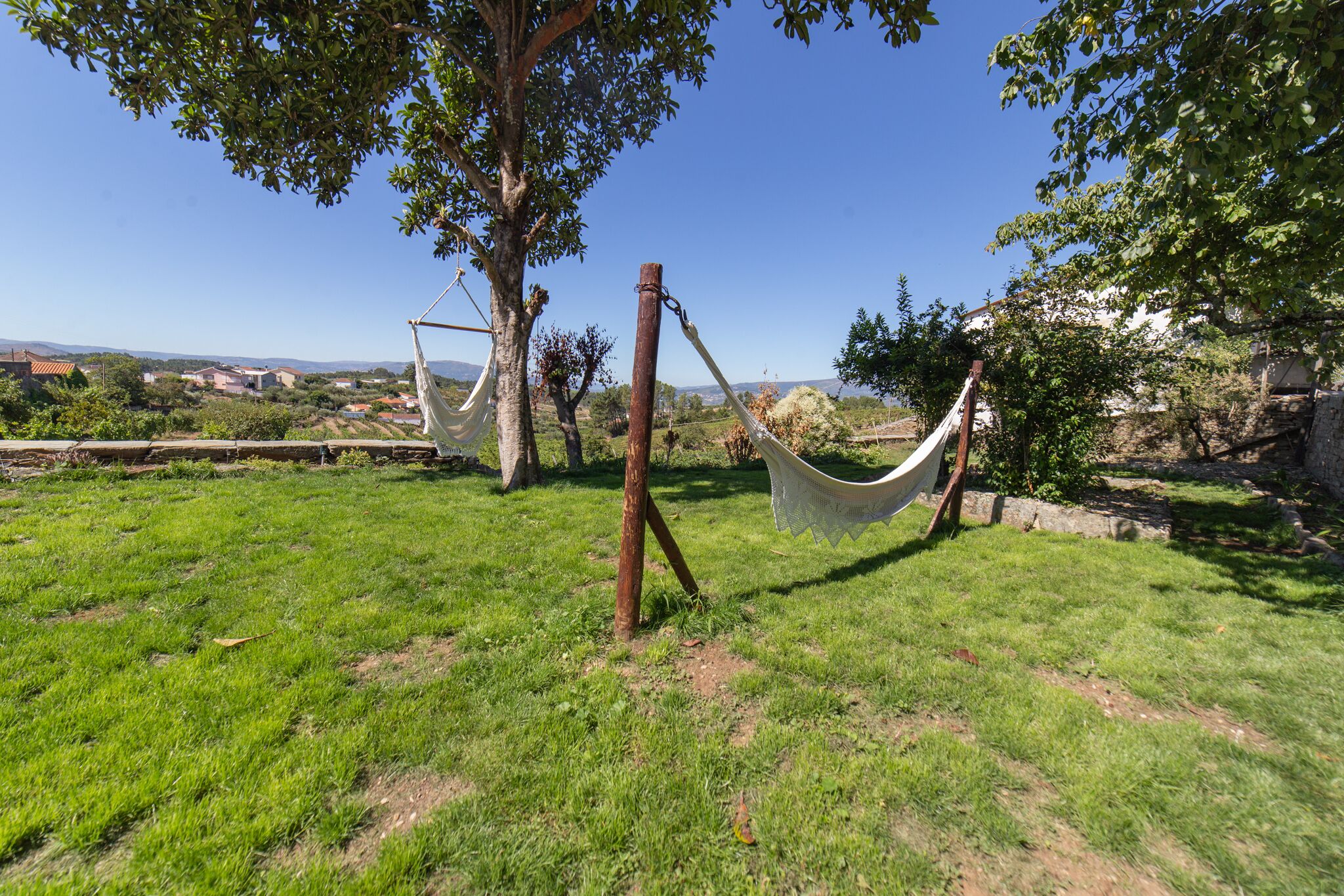 A grassy outdoor area with hammocks tied to trees.