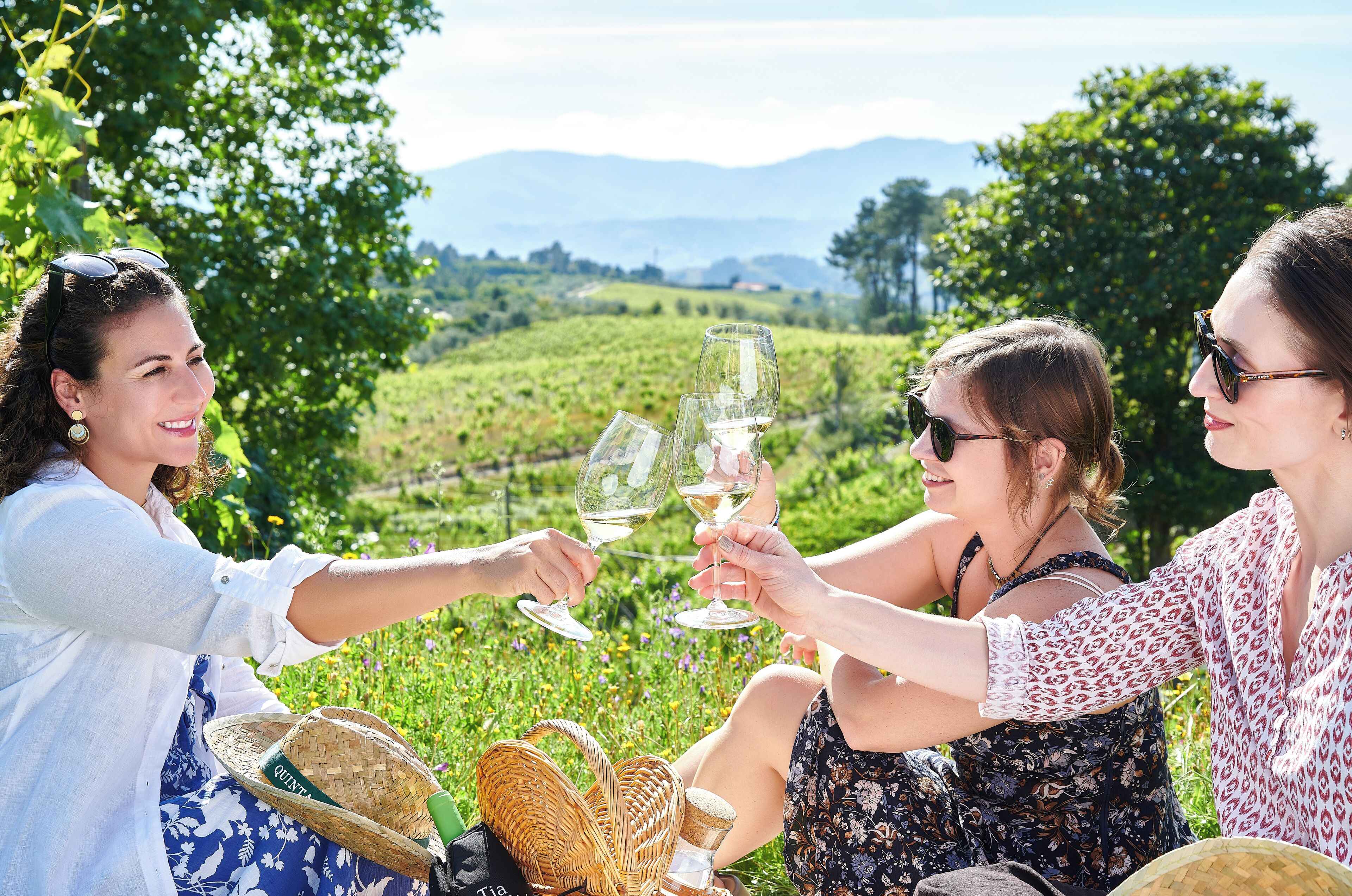 Three people toasting with wine glasses in a vineyard setting.