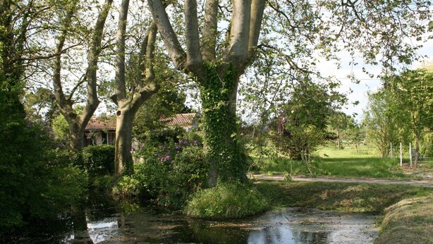 Eine friedliche Flusslandschaft, wobei ein Haus teilweise von Bäumen verdeckt ist.
