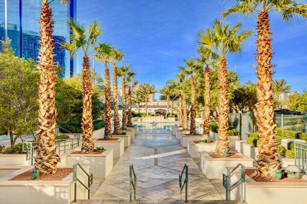 Terrein van de accommodatie