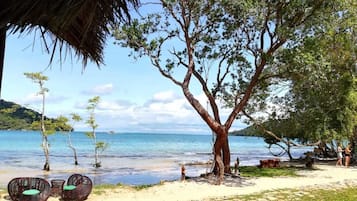 Beach/ocean view