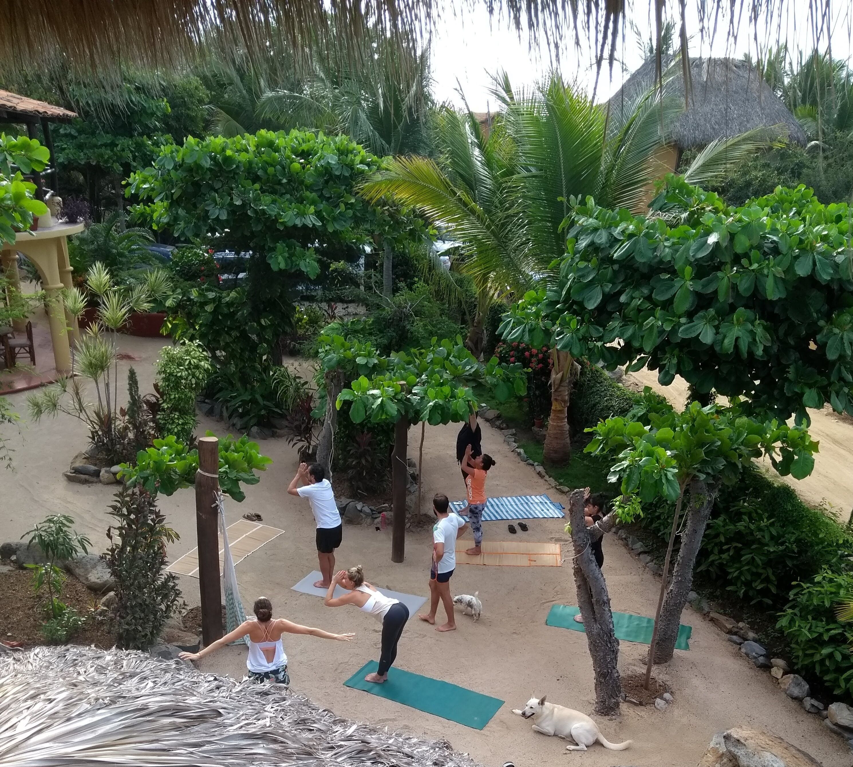 Un grupo de personas practicando yoga al aire libre en un jardín con diversas plantas y árboles.
