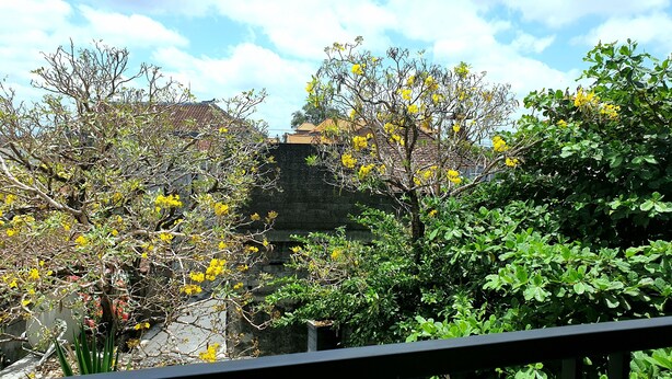A courtyard with a stone wall, green foliage, and yellow flowers. - Comfy Room in Piliau Residence (Denpasar)