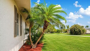 A building with a white exterior, a red mulch pathway, and a well-maintained lawn with a palm tree.