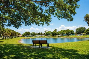A park with a bench, a pond, and trees.