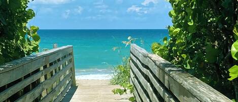 Sun-loungers, beach towels