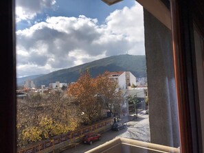 Vista desde la habitación