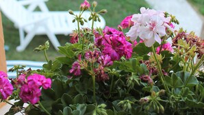 Un jardin avec des fleurs roses et une chaise blanche.