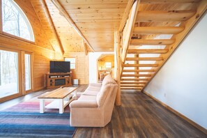 Älytelevisio, takka, DVD-soitin, kirjoja