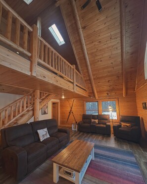 TV connectée, cheminée, lecteur de DVD, livres