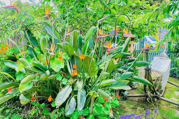 Jardines del alojamiento