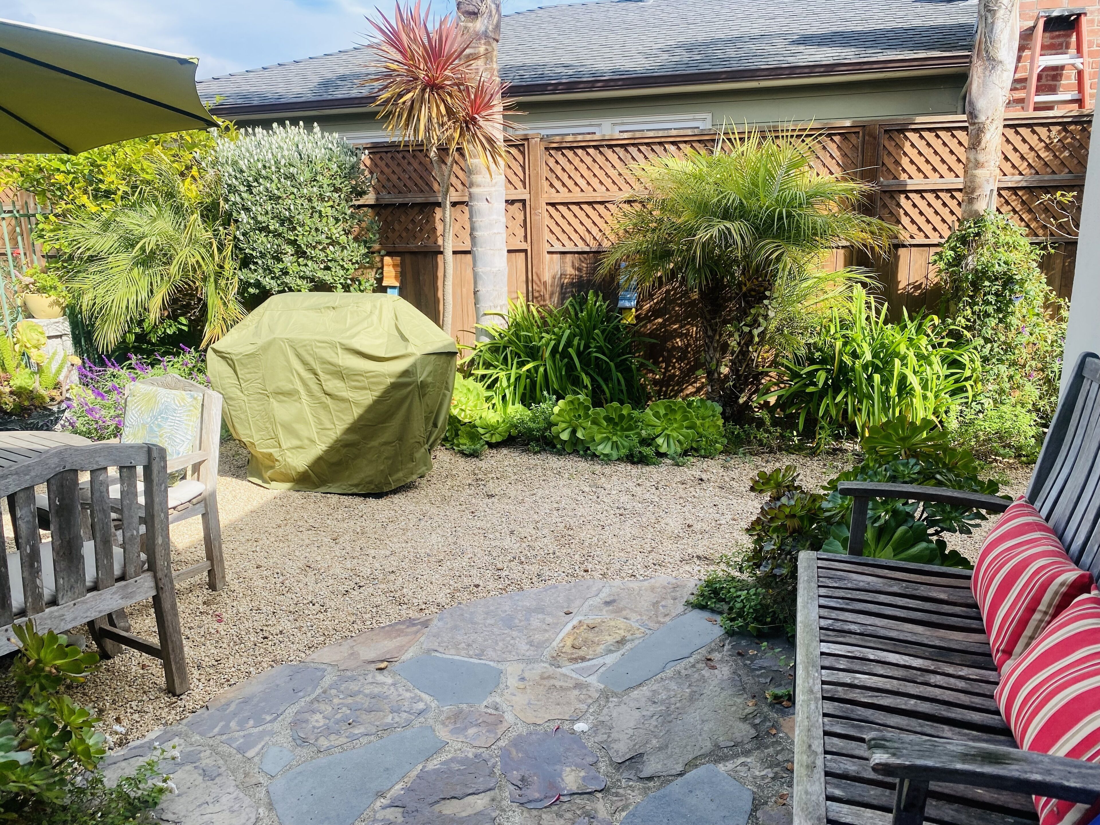 A patio area with a covered table, a stone pathway, and various plants.