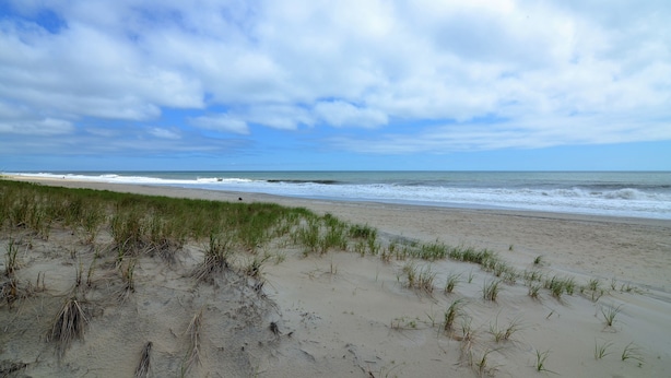 A beach with sand and grass, a clear sky, and the ocean. - STEPS TO THE SEA AND SAND IN DEWEY BEACH (Dewey Beach)