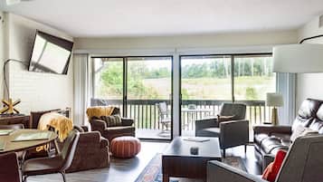 TV, fireplace, books