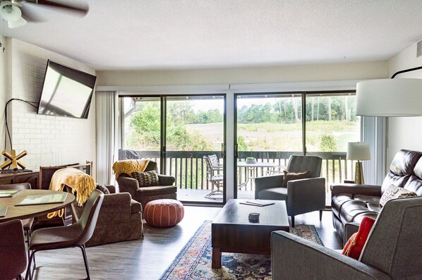 TV, fireplace, books