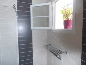 Shower, hair dryer