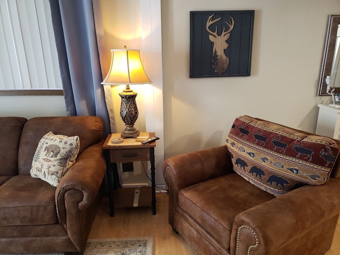 智能电视、壁炉