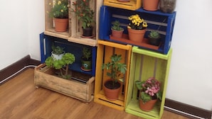 Una exhibición de plantas escalonada, con diversas macetas dispuestas sobre cajas y estantes de madera.