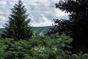 Vista de una casa rodeada de vegetación exuberante y colinas al fondo.