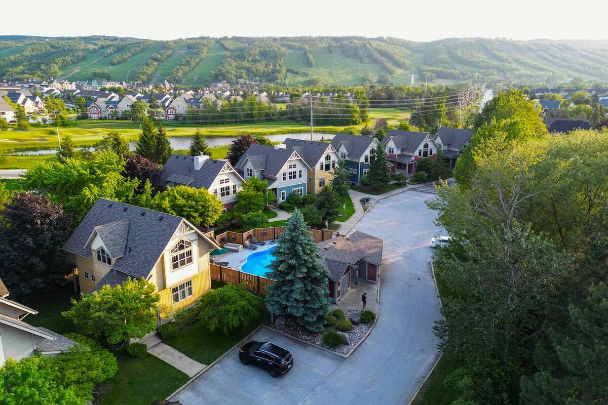 Un quartier résidentiel avec des maisons, une piscine et un grand arbre.