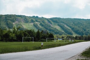 Une route de campagne, avec un champ herbeux et une colline en arrière-plan.