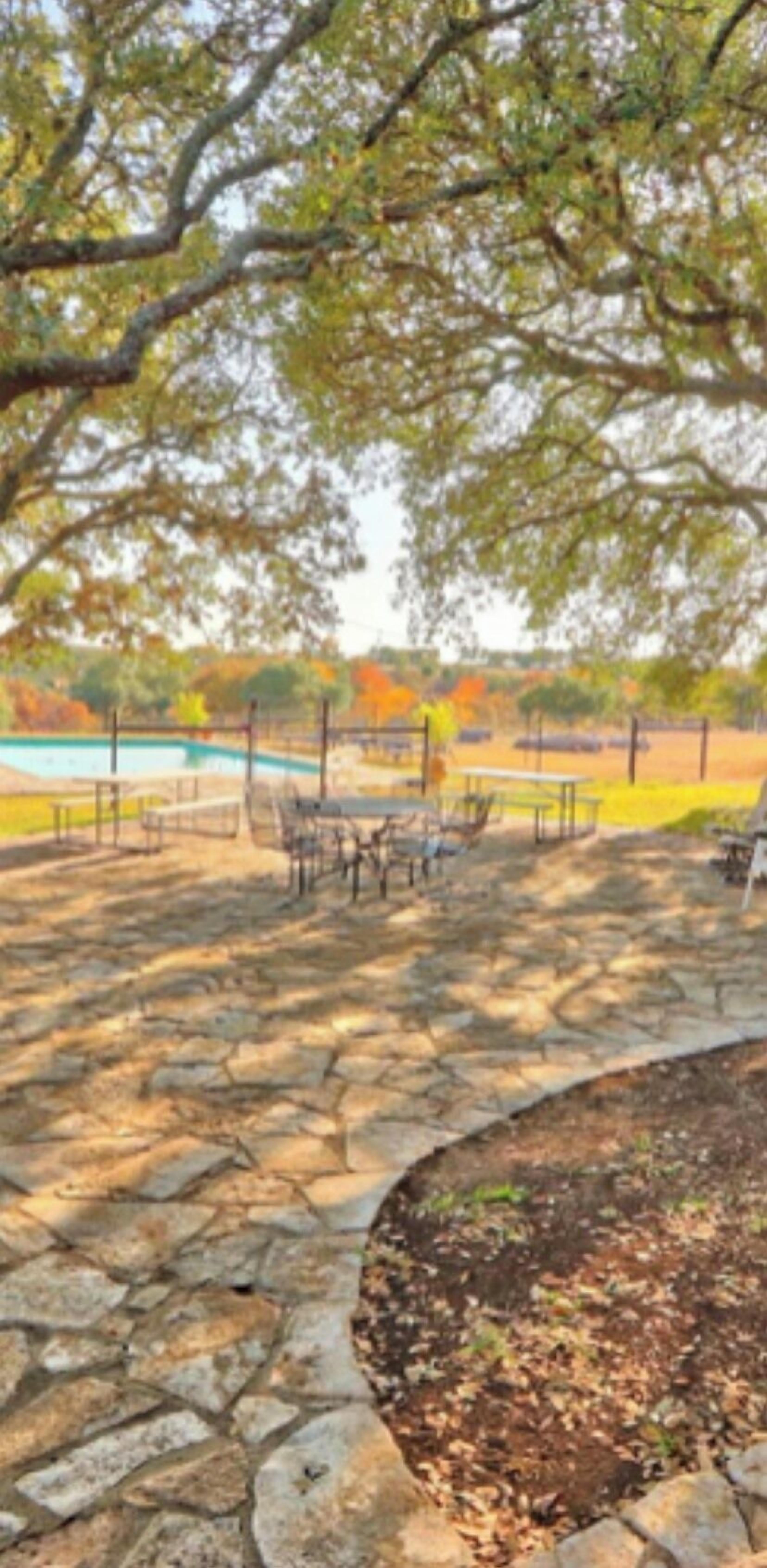A stone-paved outdoor area with tables and chairs, surrounded by trees and a grassy field.