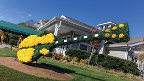 A house with a well-maintained lawn and a large decorative flower arrangement resembling a guitar. - Country Music's finest Modern Resort by Grand Ole Opry & Convention Center (Nashville)
