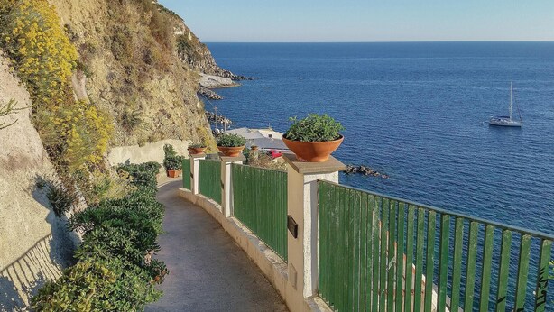 Uma passarela costeira com plantas em vasos, vista clara do mar e um veleiro ao longe.