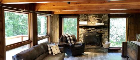 Smart TV, fireplace, video games, books