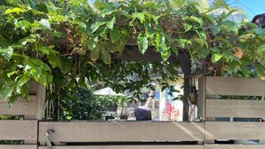 Une clôture en bois avec un banc et un hamac sous une tonnelle couverte de feuillage.