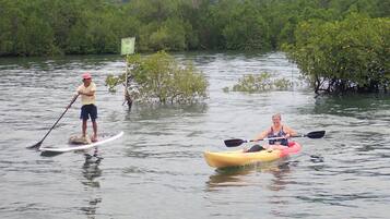 Dos personas hacen kayak en un río tranquilo rodeado de densos manglares.