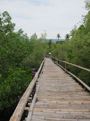 Uma ponte de madeira com grades, cercada por vegetação verde densa.