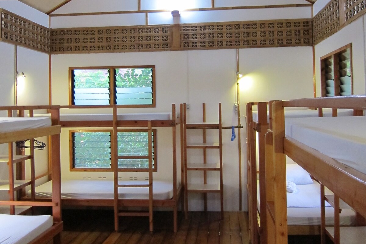 A dormitory room with bunk beds, a window, and a ceiling fan.