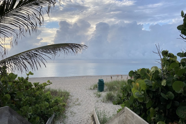 A la platja, gandules de platja i tovalloles de platja