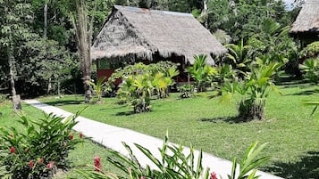 Vườn